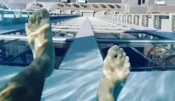 Esta piscina de vidrio te pondrá los pelos de punta: tendrás 152 metros de altura bajo tus pies