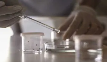 Detectan en Japón el primer caso de zika tras el brote en América