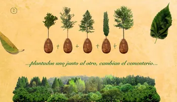Ya no se usarán más los ataúdes: Los cementerios serán ecológicos