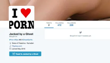 Un hacker lucha contra ISIS... con pornografía