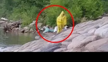 Hombre graba cómo sacan del agua a una "sirena"