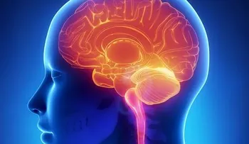 Científicos alertan "asesino silencioso" que vive en tu propia casa: puede causar diabetes, dañar los pulmones, el cerebro y el hígado