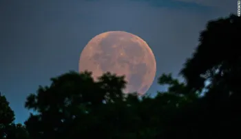 Se acerca una luna rosada; ¿qué es?