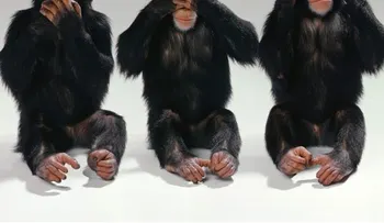 Los tres monos sabios