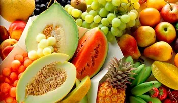  Una dieta baja en proteínas prolongaría la vida 