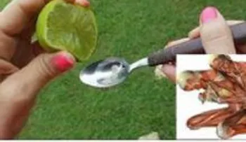 Una receta que hasta los médicos la dan: exprime 1 limón en aceite de oliva y en 5 minutos que debes usar todos los días...