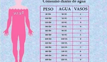 Esta es la cantidad de agua requerida por el cuerpo para poder perder peso