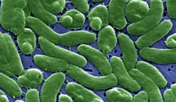 3 muertos por peligrosa bacteria come carne (Video)