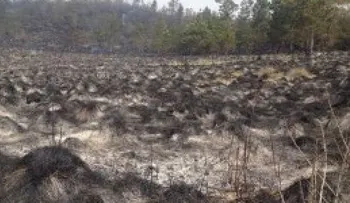 Gobierno envía comida a zona afecta por fuego en Constanza