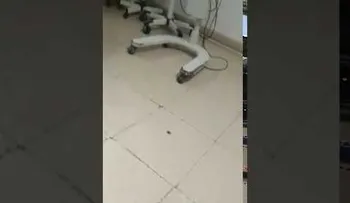 "Asco y vergüenza": escandalosas fotos muestran deterioro de un hospital de Madrid