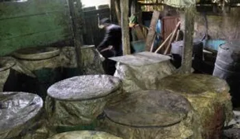Suman 15 las personas fallecidas por ingesta de clerén en Elías Piña 