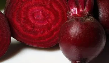 Cinco alimentos que aumentan la inteligencia