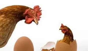 ¿Finalmente ya se sabes cuál fue primero, el huevo o la gallina?