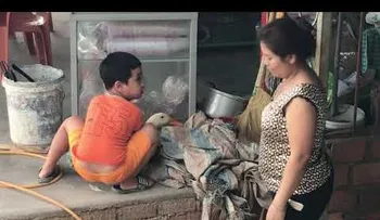 Emotivo momento cuando un niño trata de salvar a un pato de la matanza