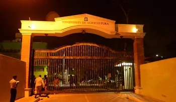 Agroempresarios piden Agricultura les permita retirar habichuela