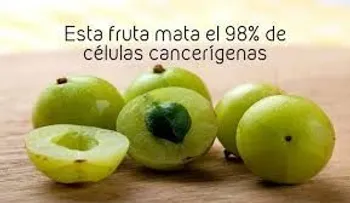 Fruta que puede salvar millones de vidas: No te dará cáncer, porque mata 98 por ciento de células cancerígenas