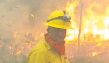 Ministerio declara extinguido incendio forestal