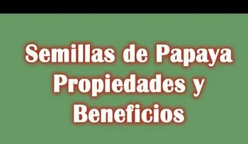 10 secretos de belleza con lechosa (Video) 