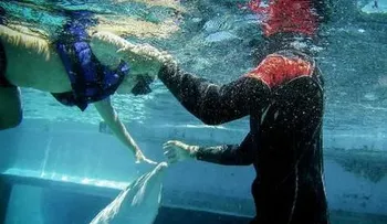 Delfines entrenados mejoran la vida de niños discapacitados 