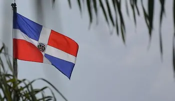  Dominicanos de EEUU abogan por respeto a la Bandera Nacional