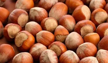 Las avellanas pueden reducir el riesgo de colesterol alto; otras propiedades