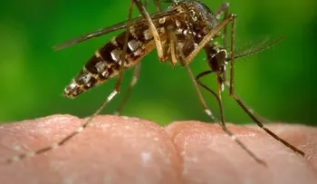 Dirección Provincial de Salud realiza operativo con el Zikas Virus