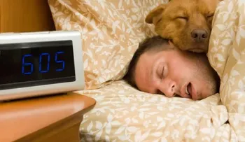 ¿Es beneficioso o perjudicial dormir con perros?
