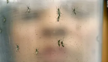 Confirman dos casos más de zika en España, entre ellos una mujer embarazada