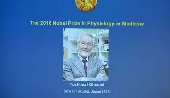 Yoshinori Ohsumi, Premio Nobel de Medicina