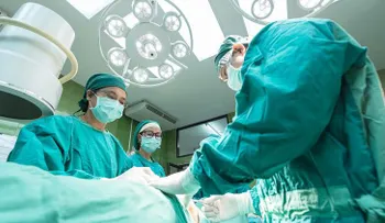 "Tenemos un órgano en el cuerpo que no ha sido reconocido como tal hasta la fecha"