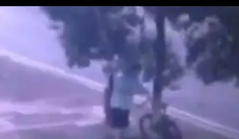 Un ladrón le gustaba tanto una bicicleta que cortó un árbol para llevársela