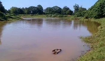 Hallan muerto haitiano en río Masacre