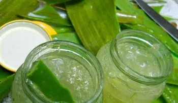 Gel rejuvenecedor de sábila y pepino (VIDEO)