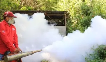 Realizan jornada contra chikungunya y el dengue en parroquias de Caracas