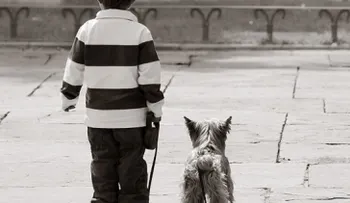 Los niños con perros o hermanos son más independientes