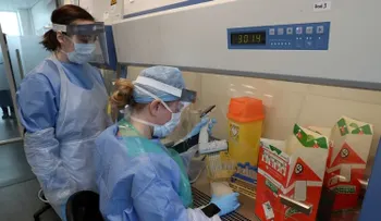 Científicos buscan encontrar una solución del coronavirus con hormonas sexuales femeninas 