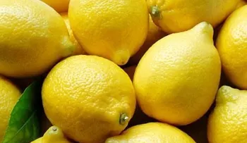 45 usos del limón que volarán tu mente.
