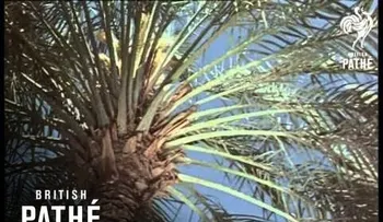 Un país que ahora no existe: ¿Cómo era Irak hace 50 años?