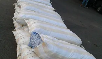 Ejército decomisa furgón con contrabando de 362 sacos de ajo