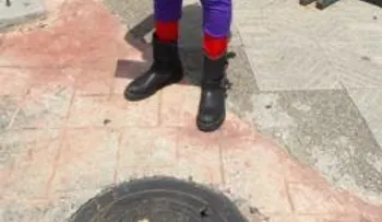 El “hombre arañaâ? sale en defensa de los peledeístas