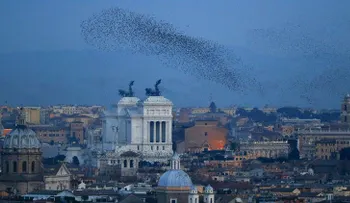 Caos en Roma por incursión de estorninos (VIDEO)