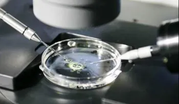 Identifican las células culpables de que embriones no se implanten en útero