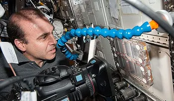 Envían 800 hormigas al espacio para aprender a fabricar robots