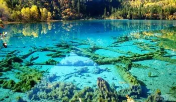 Fotos: Lugares con increíble belleza del planeta Tierra 