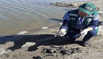 Miles de ranas peruanas se están muriendo, y nadie sabe por qué