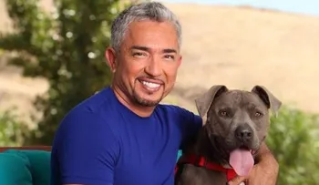 Demandan Encantador de perros por ataque de pit bull 
