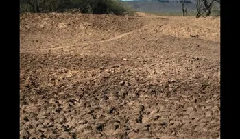 Abuelo y nieto fallecen en excursión en desierto de Arizona 