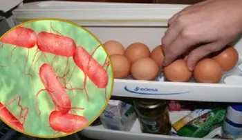 Tu salud y las de tu hijos corren peligro si guardas huevos en la nevera
