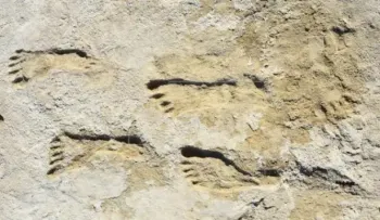 Encuentra huellas en Nuevo México que revelan presencia humana en América hace 23.000 años