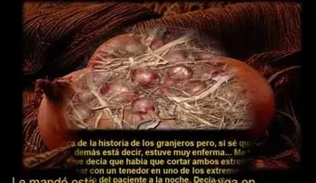 El gran secreto de la cebolla (VIDEO)